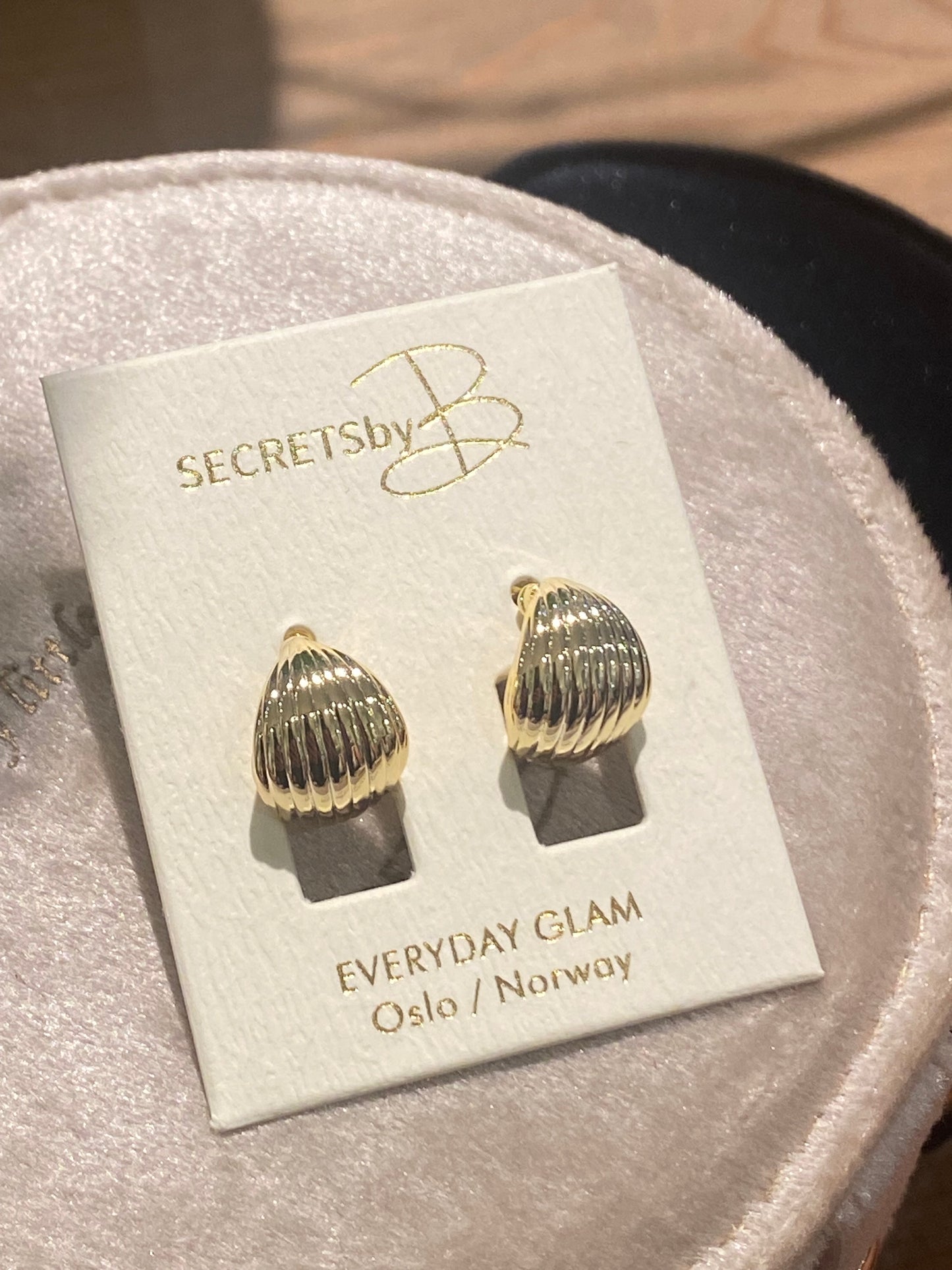 MOLLY EARRINGS - Secrets by B 2750 gull